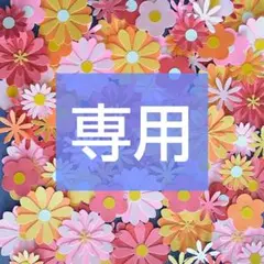 DSRK様 リクエスト 4点 まとめ商品