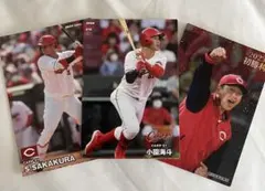 プロ野球チップス　広島東洋カープ