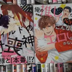1商業　BL 　同梱特価　2冊680円4冊980円6冊1180円