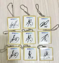 Item thumbnail for item 475ddb1b-43ee-4a65-982a-db6ecfef2e43