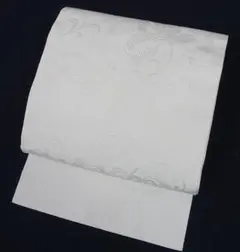 Item thumbnail for item 6b62b215-1bc0-40fe-bb05-9bcb9ee1f7d6