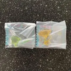 グミチュアチャーム サンリオ ポチャッコ　ポムポムプリン