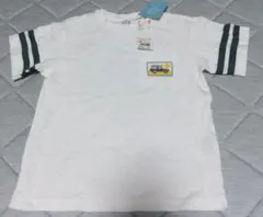 Item thumbnail for item 633bfd6b-da64-45c0-9ca3-4cd8e5ada4af