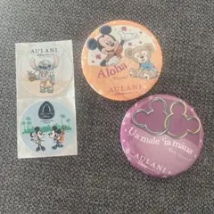 AULANI アウラニ　ディズニーリゾート　缶バッジ 2個セット