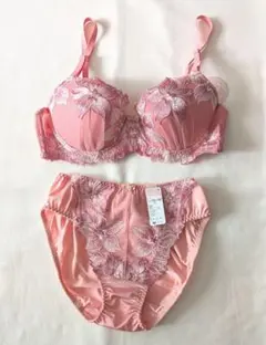 ピンク ブラジャーショーツセット L C75