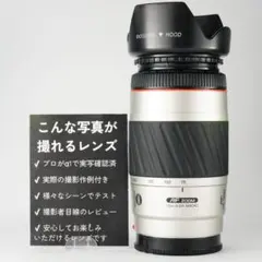 Item thumbnail for item a4493dd6-bc03-4009-b7b9-23aeb364378c