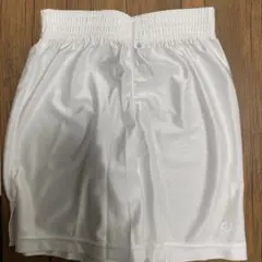 Item thumbnail for item 1b38c4dd-c416-493b-bb5c-84d615e8b258