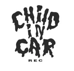 Child in Car REC ステッカー dan様専用