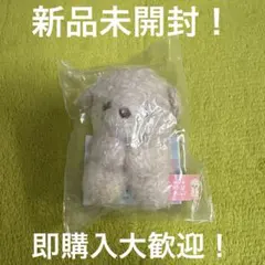2026年最新】ころわん ぬいぐるみの人気アイテム - メルカリ