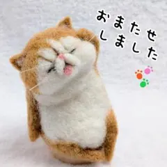 まるこ様専用です(ΦωΦ)