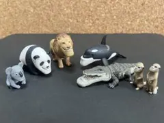 Item thumbnail for item c8bb6ab5-82ce-4353-985c-e4337e9dcd3e