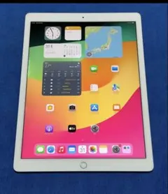 383【早い者勝ち】iPad Pro 256GB 12.9インチ WIFIモデル - メルカリ