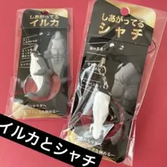 たけちゃん様 リクエスト 3点 まとめ商品