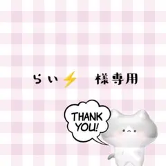 らい⚡様専用