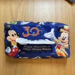 東京ディズニーリゾート ティッシュボックスケース