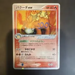 ひなたろす様 リクエスト 2点 まとめ商品