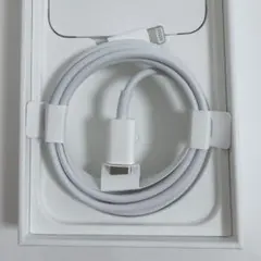 純正 iPhone Lightningケーブル タイプC