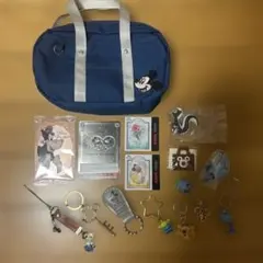 ミッキーポーチ&Disneyキーホルダー・カードセット