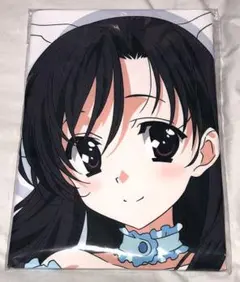 School Days AnimeJapan2026 桂心 抱き枕カバー - メルカリ