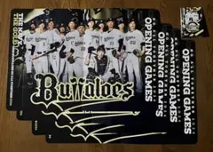 ひろ様 リクエスト 2点 まとめ商品