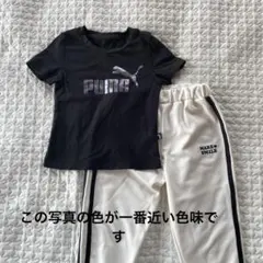 PUMA Tシャツとパンツ　サイズ120セット