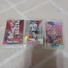 バレーボール トレーディングカードセット