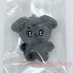 2025年最新】ミンギュ ぬいぐるみ マスターの人気アイテム - メルカリ