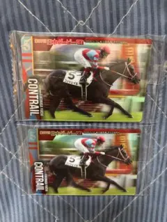 エピファネイア 直筆サインカード 菊花賞　福永祐一　おまけカード付き エピファネイア 直筆サインカード 菊花賞 福永祐一 おまけカード