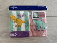 恐竜デザイン ミニタオル2枚セット 最終値下げ