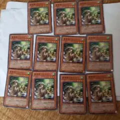 風霊使いウィンPSA9と地霊媒師アウスPSA10のセット 風霊使いウィンPSA9と地霊媒師アウスPSA10のセット 風霊使い