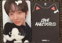 EVNNE hellolive 猫 トレカ スンオン
