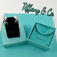 2026年最新】ティファニー インフィニティ ピアスの人気アイテム