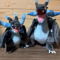 ほぼ未使用】ポケモンセンター フード付きポンチョ メガリザードンX