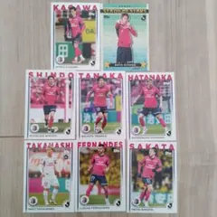 jリーグtopps2025 セレッソ大阪の7枚セット
