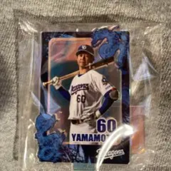 2026年最新】山本泰寛の人気アイテム - メルカリ