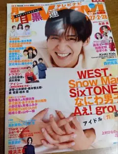 月刊　TVnavi　テレビナビ　 2025年3月号　目黒蓮　アイドル「力」選手権