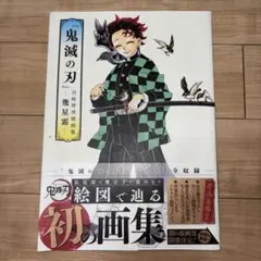 『鬼滅の刃』吾峠呼世晴画集―幾星霜― 帯付き