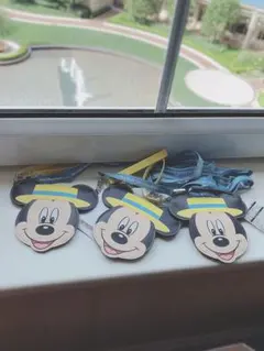 バケーションパッケージ  チケットホルダー