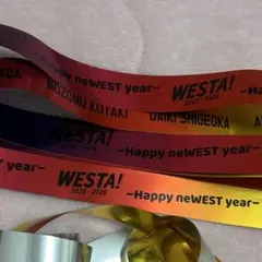 WESTA 銀テープ (おまけ付き)