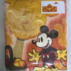 【新品未使用】ディズニー　ミッキーマウス　アイスバー　フード付きタオル