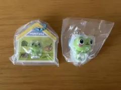 MINITEEN ミンハオ ディパリのサムネイル