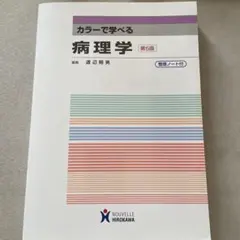 Item thumbnail for item 42ef8502-697f-4dad-a665-80eaab2d5757