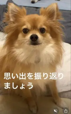 marosan様 ご確認用写真