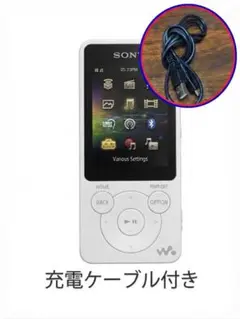 2026年最新】NW-S784の人気アイテム - メルカリ