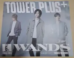 WANDS WANDER-LAND NEO 2026冬 会報vo11 - メルカリ