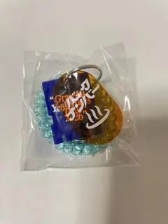 サウナキー 熊本 キーホルダーのサムネイル