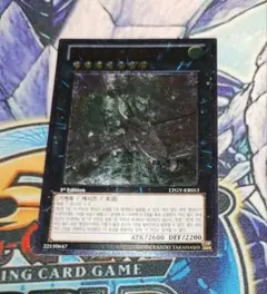 2025年最新】遊戯王 韓国 1stの人気アイテム - メルカリ