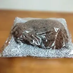 ぬいぐるみ　トイプードル　置物