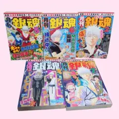 2014年 月刊銀魂 セット