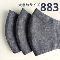 883ハンドメイドマスク＊大人用大きめサイズ3枚